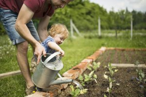 Tips til haven: Sådan skaber du en frodig og funktionel oase